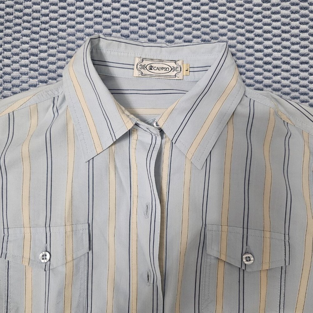 Calypso Light Blue & Yellow Striped Button-Down Shirt - Size Large - Picture 4 of 6
